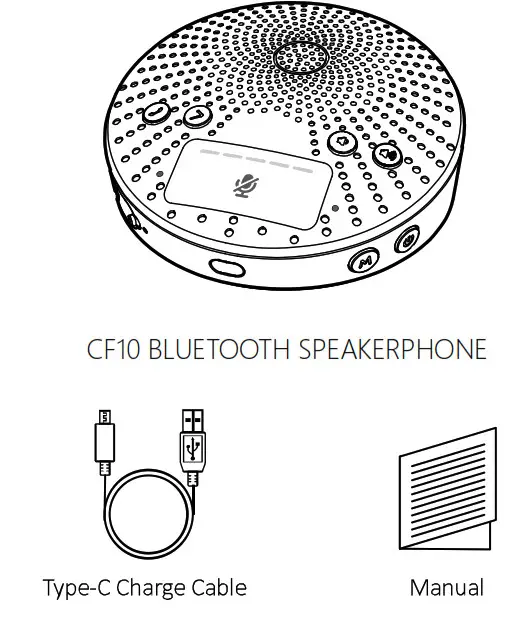 Gsou Technology CF10 Bluetooth Speaker- STANDARD ACCESSORIES
