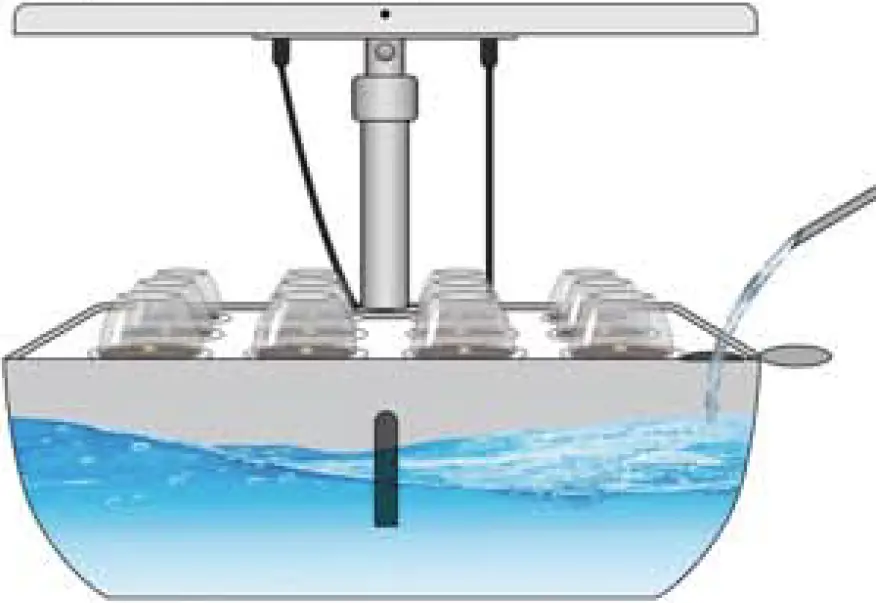 Add Fresh Water into the Water Tank to the Water Level