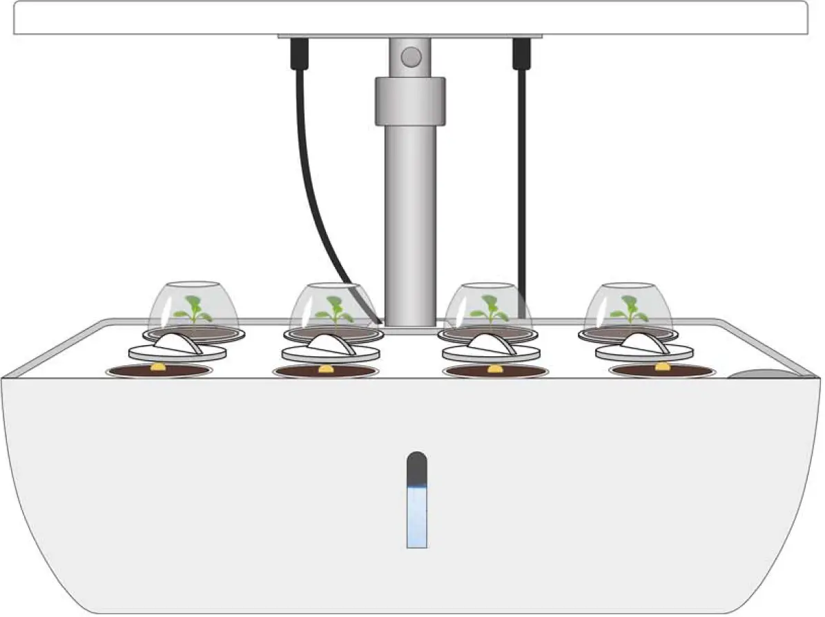 How to Prevent Mosquito Erosion 03