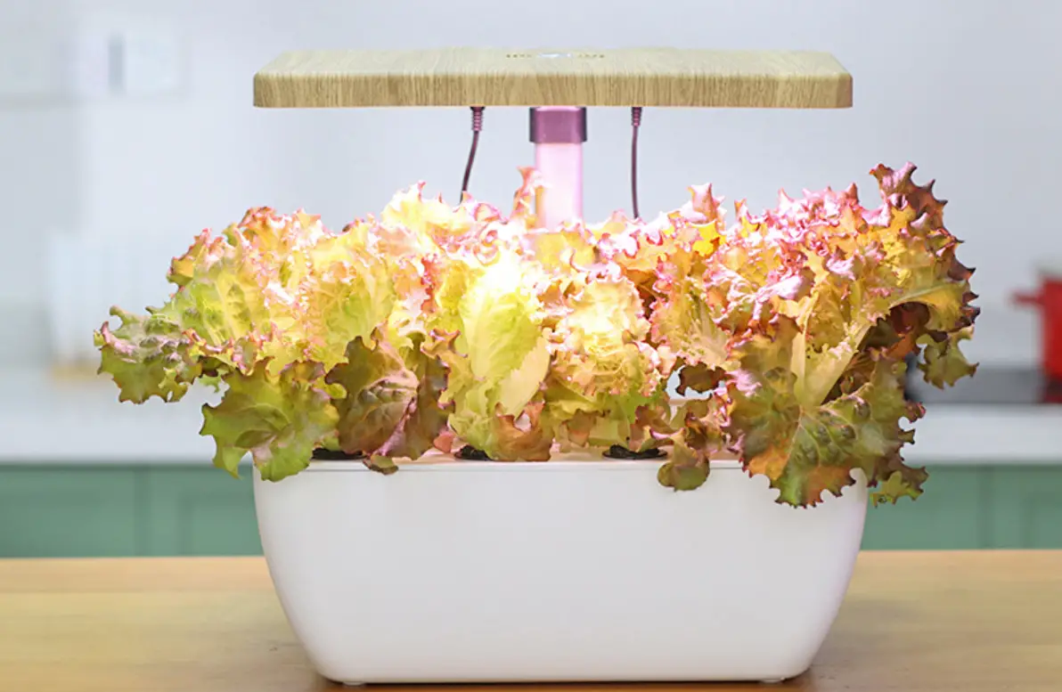 Shenzhen Kenong Gardening Technology Z206wifi Intelligent Planter Instruction Manual Shenzhen Kenong Gardening Technology Z206wifi Intelligent Planter Instruction Manual