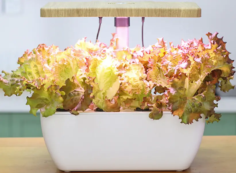 Shenzhen Kenong Gardening Technology Z206WIFI Intelligent Planter