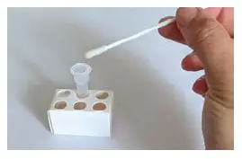 COVID Vaccine Rapid Antigen Test fig-13