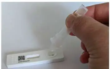 COVID Vaccine Rapid Antigen Test fig-18