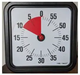 COVID Vaccine Rapid Antigen Test fig-19
