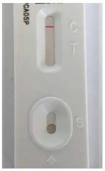 COVID Vaccine Rapid Antigen Test fig-21