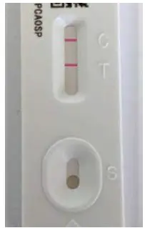 COVID Vaccine Rapid Antigen Test fig-22