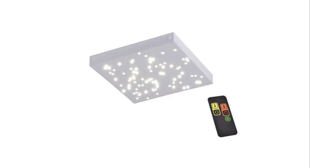 Paul Neuhaus E0040030 Design Ceiling Light Daylight Remote Control Instruction Manual