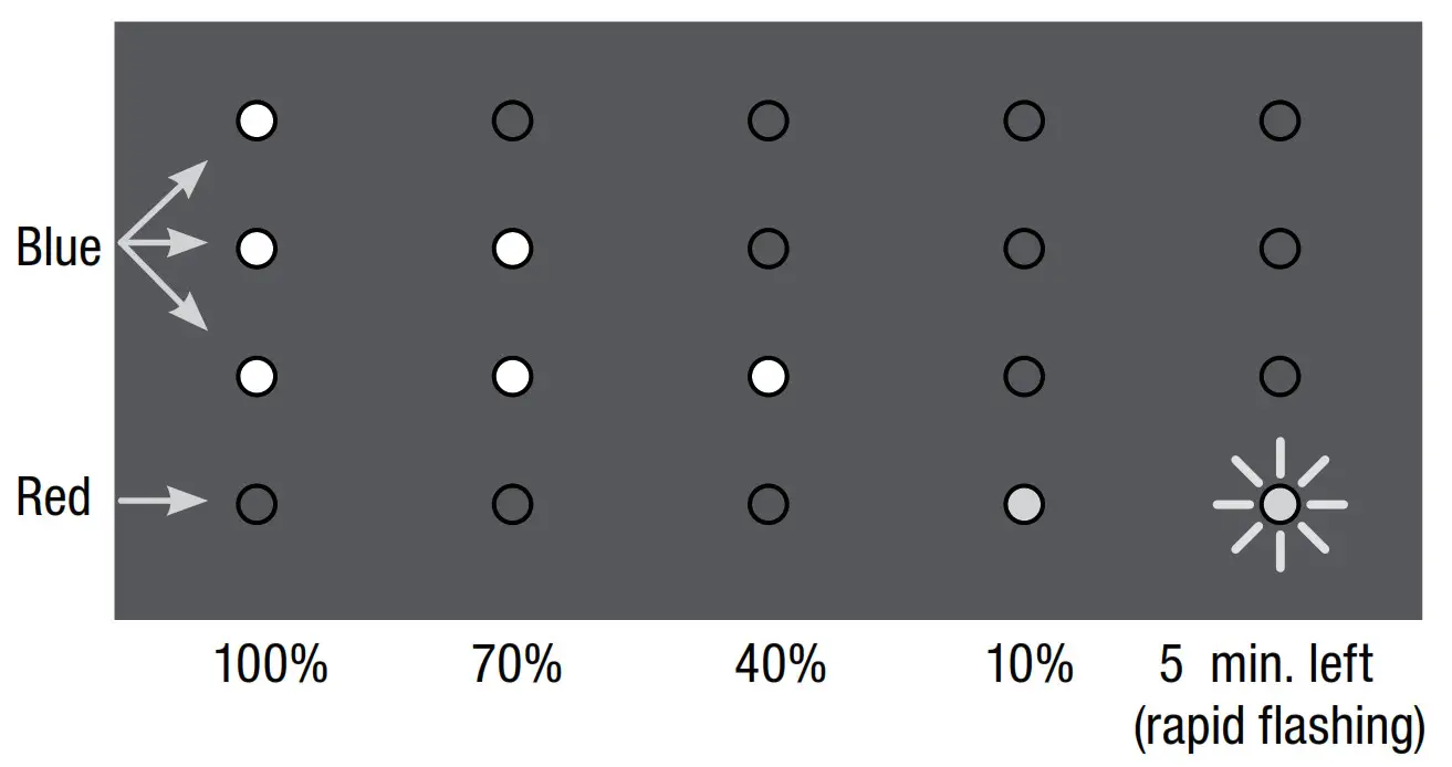 FUEL GAUGE DISPLAY OF CHARGE LEVELS