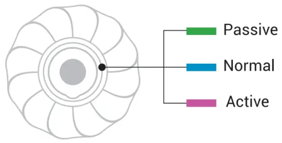 WHAT IS Cheerble Ball