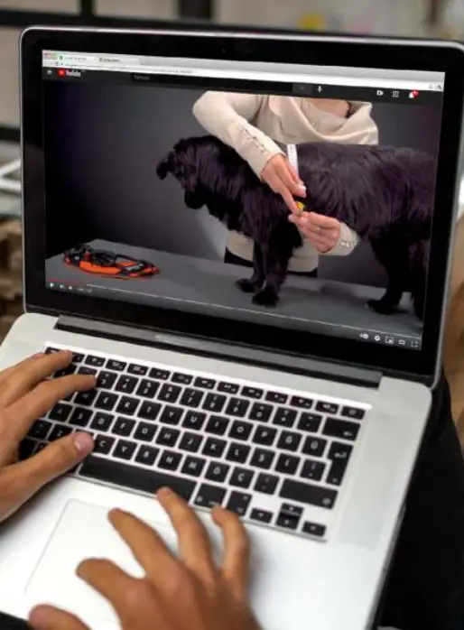 JULIUS-K9 JK9 IDC POWER HARNESS fig 1