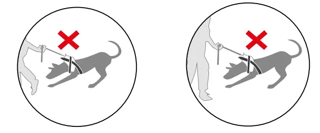 JULIUS-K9 JK9 IDC POWER HARNESS fig 7