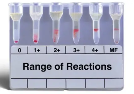 MTS080024 Blood Grouping Reagent Monoclonal Rh Phenotype Card FIG 1