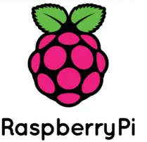 Raspberry LOGO