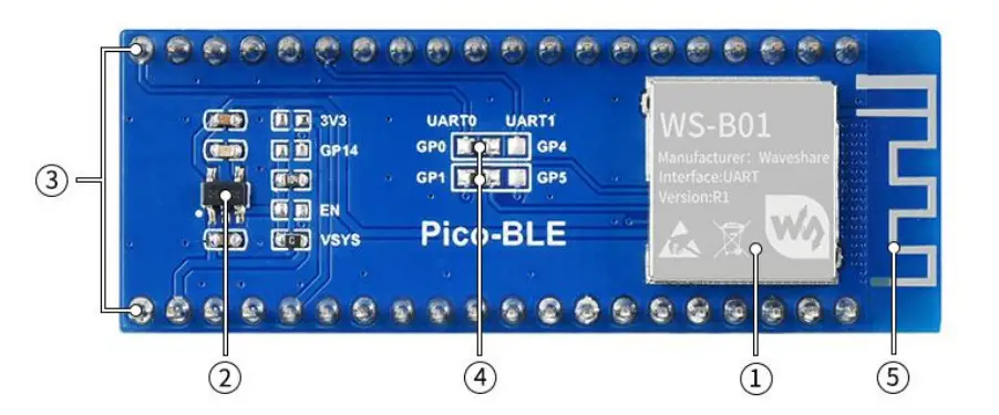 Raspberry Pi Pico-BLE Dual-Mode Bluetooth Module -Fig 1