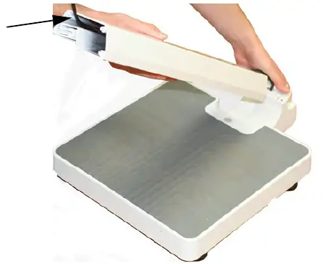 RICE LAKE 150-10-5 Digital Physician Scale 01