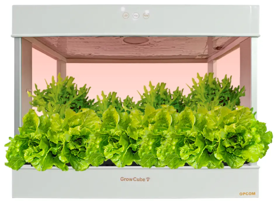 OPCOM OFG011P Grow Cube Indoor Hydroponic Gardening Systems-