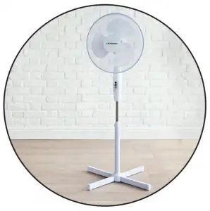 Pedestal Fan