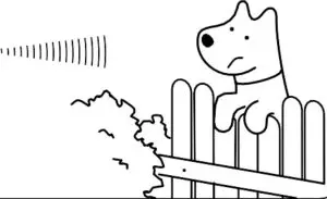 Correct Unwanted Behavior