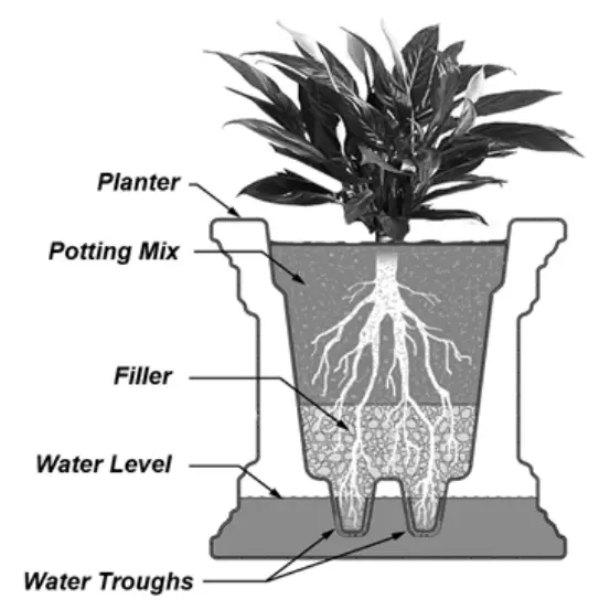 Mayne MIS029 Cape Cod Planter-fig3