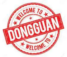 Dong Guan logo