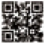 KONNWEI KW309 CAN OBDII+EOBD Code Reader User Manual