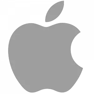 Apple icon