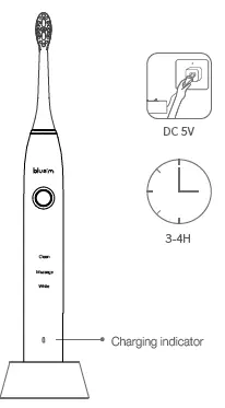 bluem BMTBS1 Sonic Toothbrush Fig10