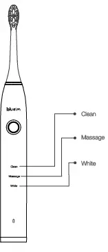 bluem BMTBS1 Sonic Toothbrush Fig12