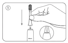bluem BMTBS1 Sonic Toothbrush Fig2