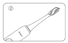 bluem BMTBS1 Sonic Toothbrush Fig3