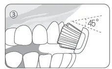 bluem BMTBS1 Sonic Toothbrush Fig4