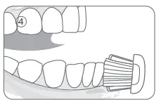 bluem BMTBS1 Sonic Toothbrush Fig5