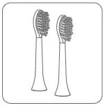 bluem BMTBS1 Sonic Toothbrush Fig9