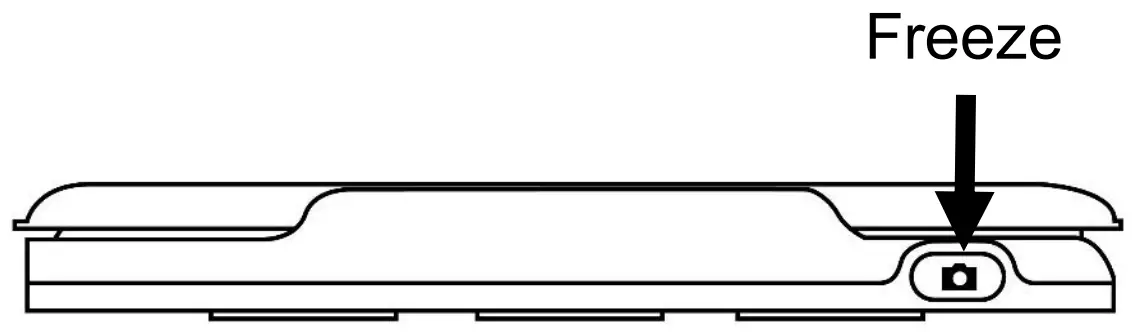 Physical Description