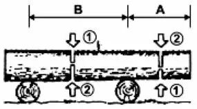 FIG 8 Log above the ground