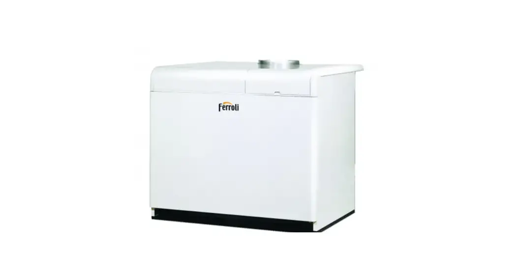 Ferroli Pegasus F3 N 2s Floor Standing Gas Boiler Instructions