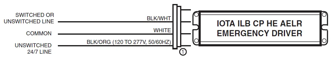 IOTA ILB CP HE AELR Bluetooth Enabled Emergency Light 4
