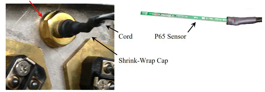 Hubbell Electric Deionized RO Water Heater - P65SS SENSOR PROBE 2