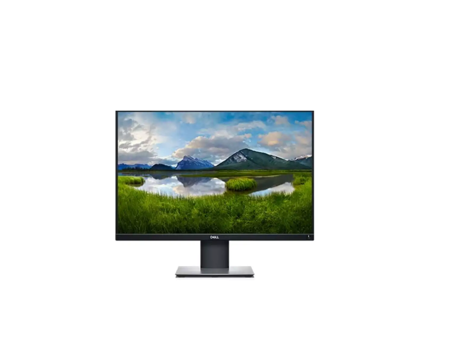Dell P2421 Monitor User Manual
