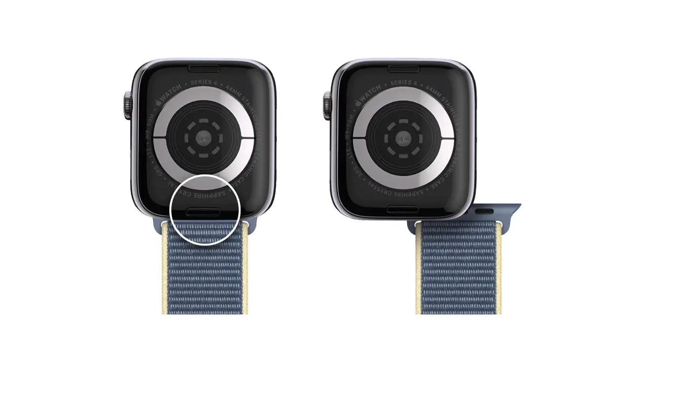 Remove, Change, And Fasten Apple Watch Bands