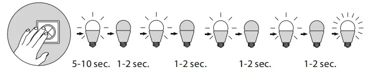 Paul Neuhaus 833603 Pendant Light - Figure 4