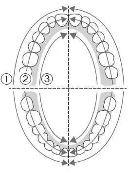 Panasonic-EW-DL34-Sonic-Vibration-Toothbrush-fig-12