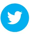 Twitter Icon
