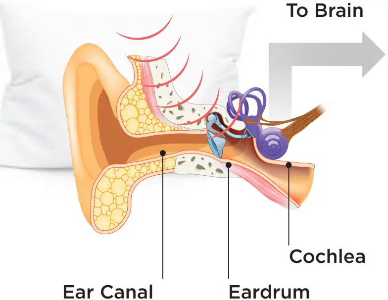 BONE CONDUCTION