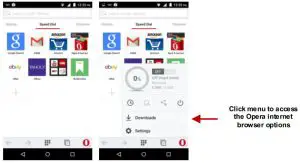 FIG 10 Opera Browser