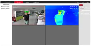 Real-time preview interface