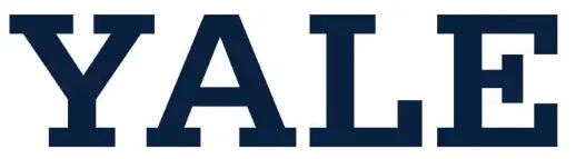 Yale-DB1-Value-Safe-Mini-LOGO