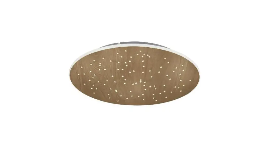 Paul Neuhaus 8037-79 Q Nightsky Wood Effect Starry Sky Smart Led Ceiling Light Instruction Manual Paul Neuhaus 8037-79 Q Nightsky Wood Effect Starry Sky Smart Led Ceiling Light Instruction Manual