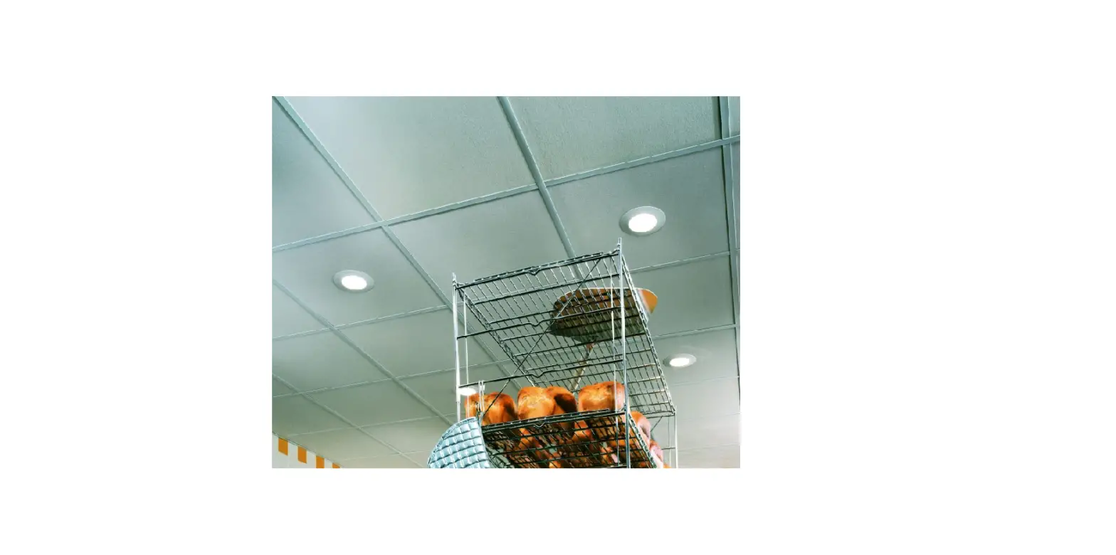 Usg Exterior Gypsum Ceiling Board User Manual