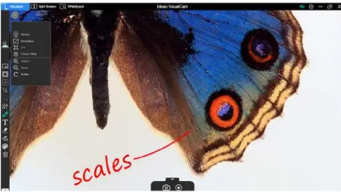 Funtech-innovation-Ideao-DC400-4K-Visualizer-for-Distance-Learning-fi-6